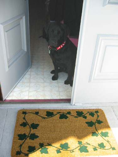 120-2023_IMG_doormat.jpg