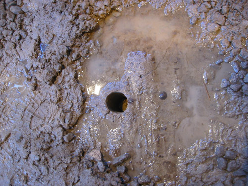 Core sample scar