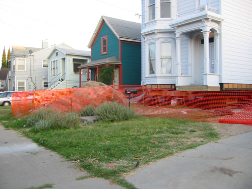 A protective orange fence