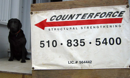 Counterforce sign