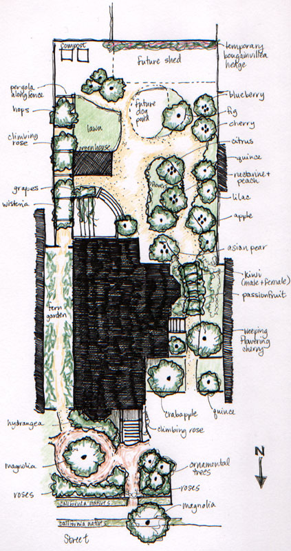 Garden plan