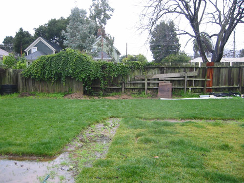 Fences removed from back yard