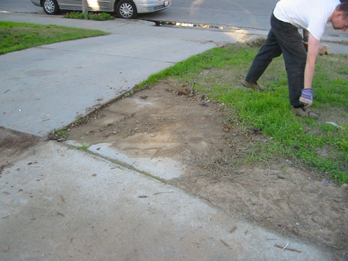 cleaning gravel from the front yard