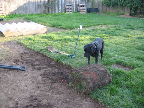 Removing sod