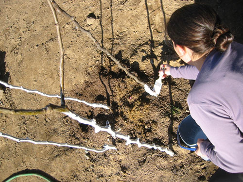 Painting trees