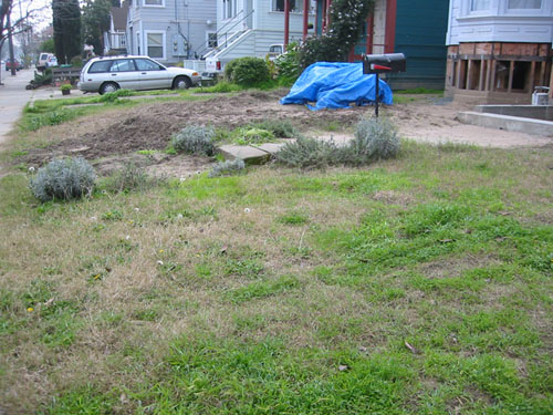 Front yard before