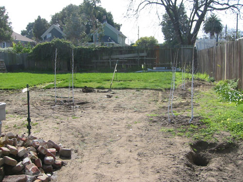 The back yard, stripped of sod