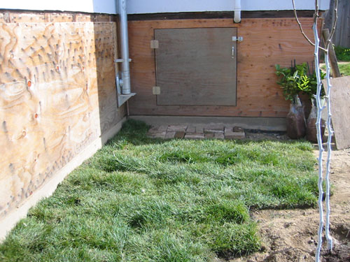 Sod by the basement hatch