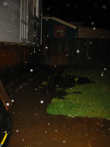 Flooded grapes and brug