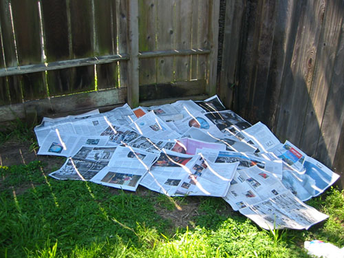 Newspapers