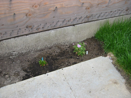 Working on the driveway edge