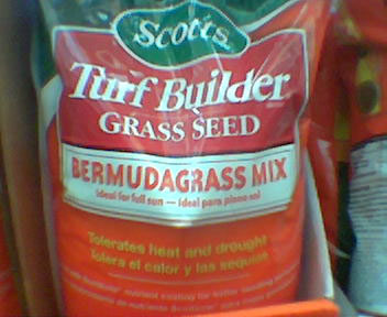 Bermuda grass seed