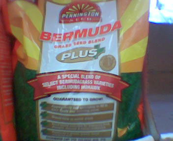 More Bermuda grass