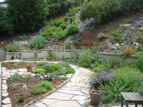 Planting in beds in the former lawn