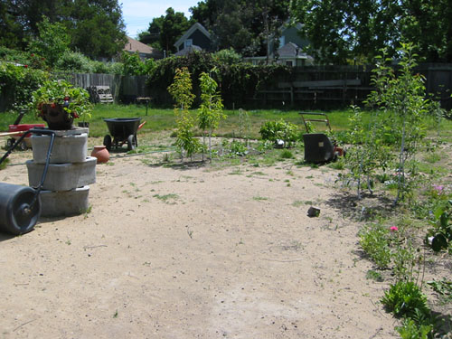 View into orchard