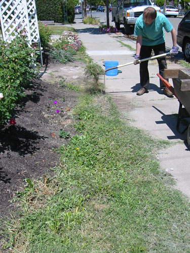 Front bed before