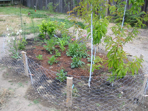 anti-stomp fence