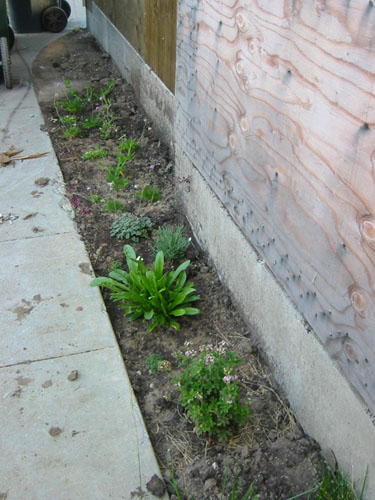 Driveway garden