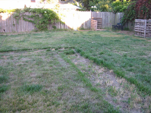 Lawn