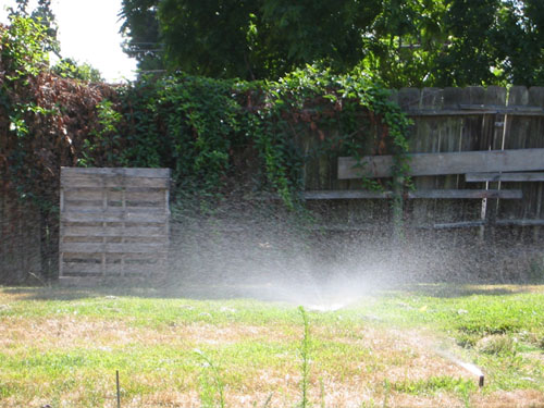 Lawn watering