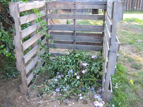 Compost bin full of cuttings