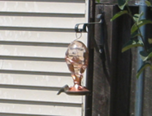 Hummingbird feeder