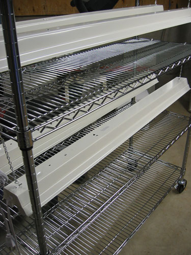 Seed rack