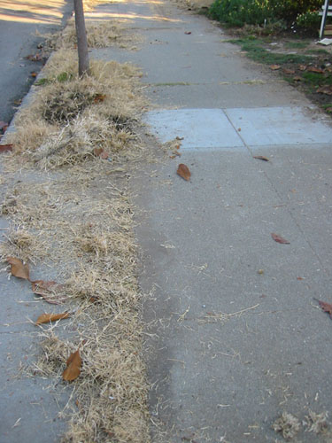 Sidewalk cleanup