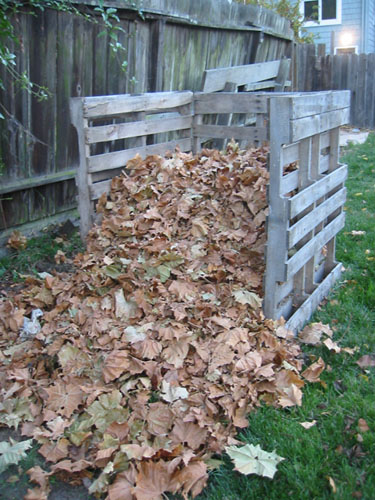 Leaf stash