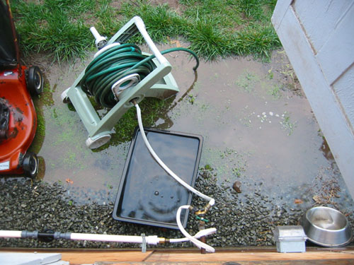 Water behind the house