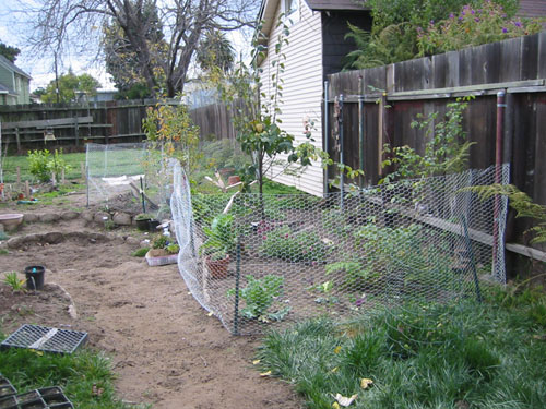 Anti-dog fencing