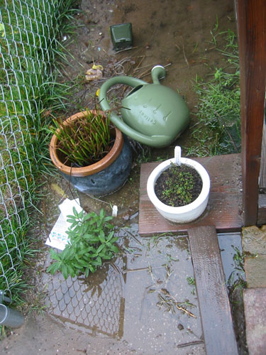 Slightly flooded under the side stairs