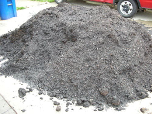 Pile of compost