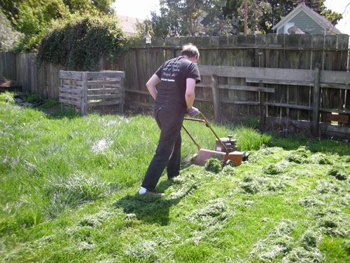 Mowing the meadow