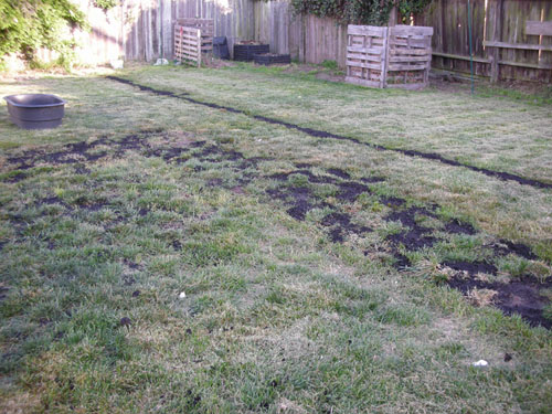 Compost in the lawn