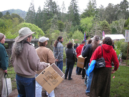 Plant sale