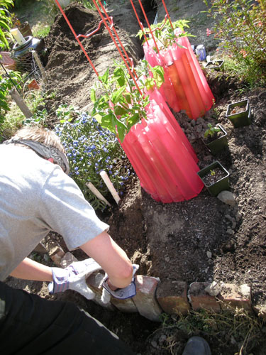 Filling in the trench and replacing bricks