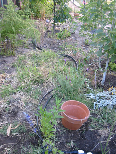 Tubes running through the orchard