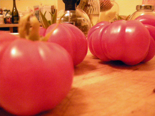 Tomato harvest