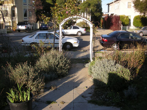 Front trellis from the porch