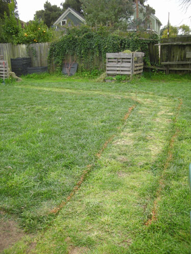 Path marked on the lawn
