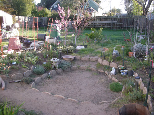 Garden with grassy shag