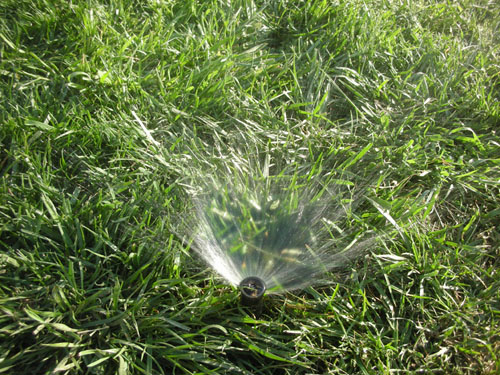 Sump water in the sprinklers