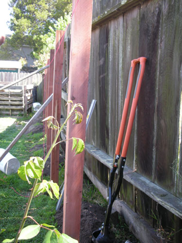 Nice straight fence posts