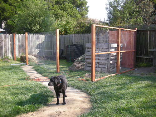 Chicken yard minus only the doors