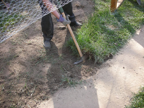 Noel hacking out sod