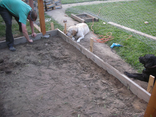 This formwork has been inspected by dog #2