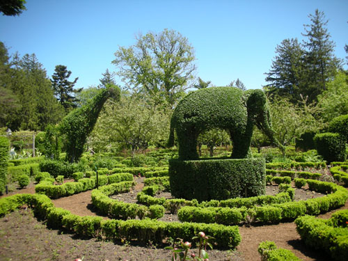 Topiary