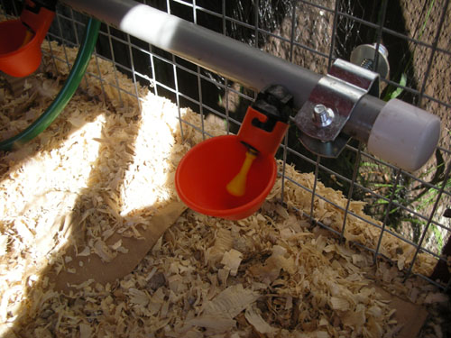 Chicken waterer