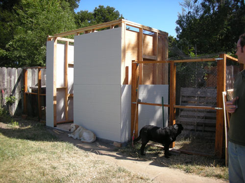 Chicken house with almost all its siding